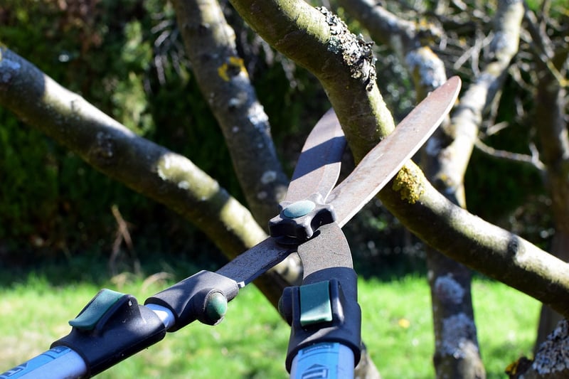 Enchantment Pruning