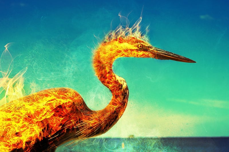 Phoenix & Griffins